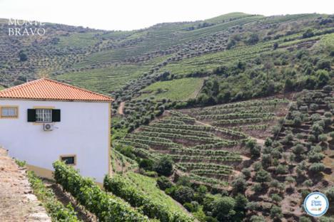 Quinta Do Monte Bravo - Douro - Quarto Duplo Villa Ervedosa do Douro Bagian luar foto