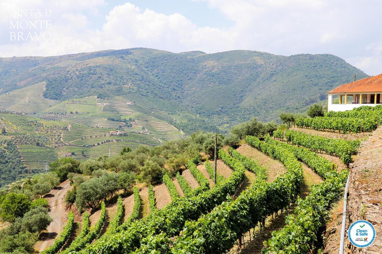 Quinta Do Monte Bravo - Douro - Quarto Duplo Villa Ervedosa do Douro Bagian luar foto