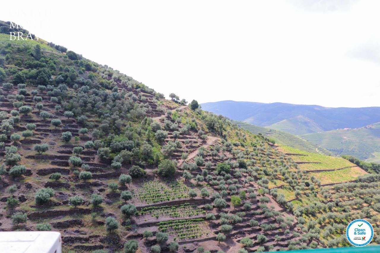 Quinta Do Monte Bravo - Douro - Quarto Duplo Villa Ervedosa do Douro Bagian luar foto