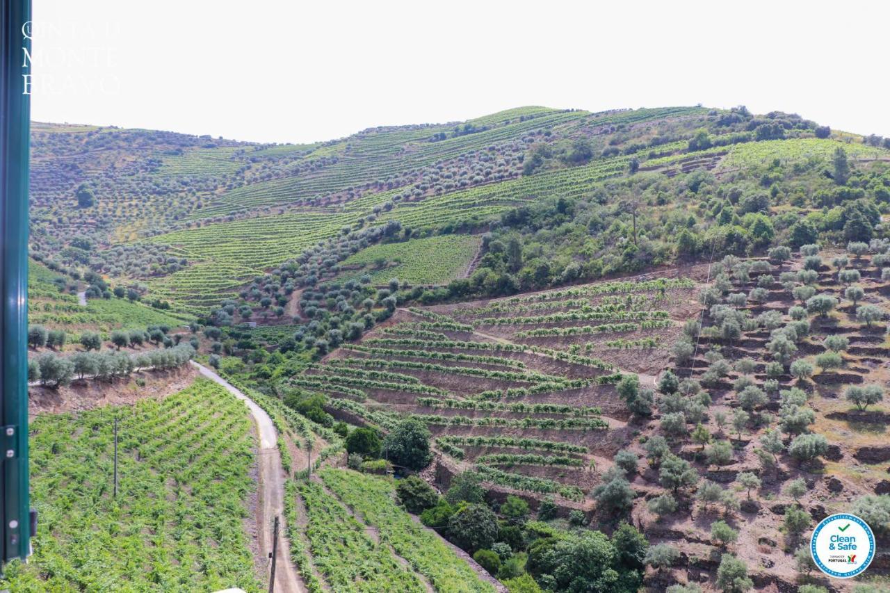 Quinta Do Monte Bravo - Douro - Quarto Duplo Villa Ervedosa do Douro Bagian luar foto